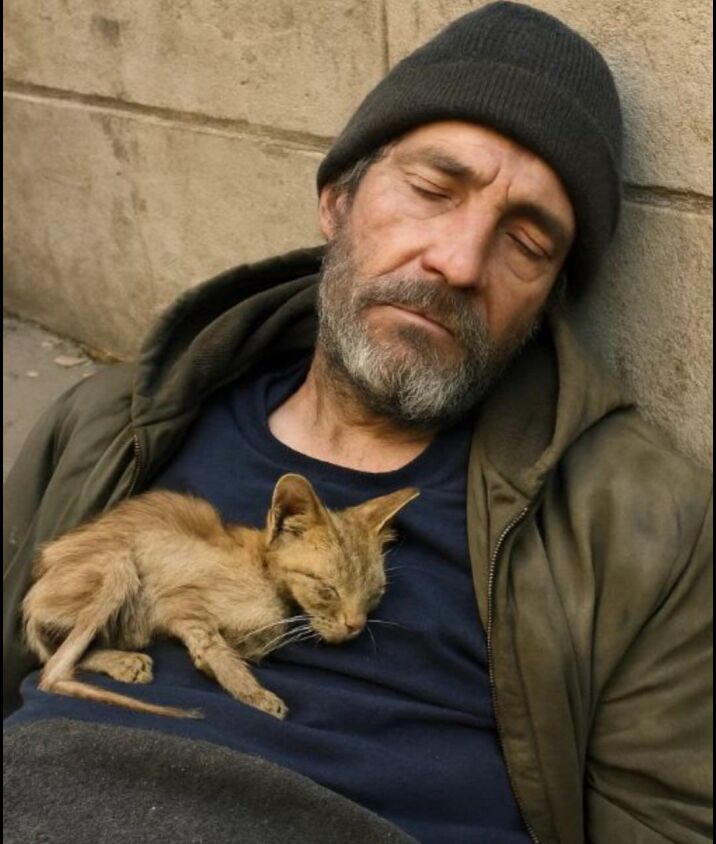 … Hazel podniosła nagle głowę, jakby wyczuła, że o