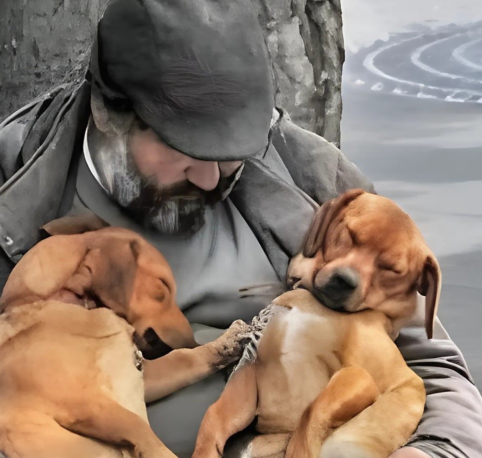 Każdego ranka mijałem go przy stacji metra — to samo drzewo…