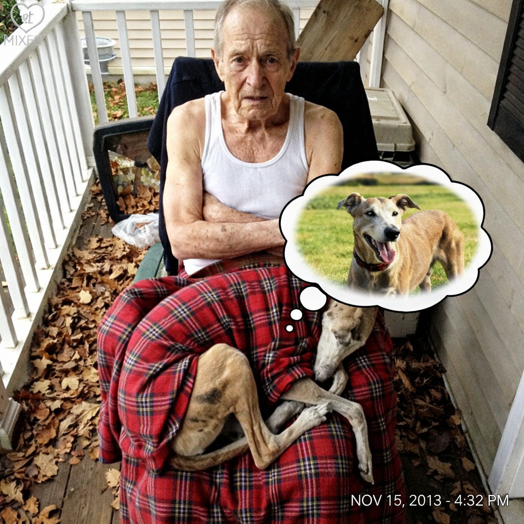 Nakrzyczałem dziś na mojego osiemdziesięcioletniego ojca