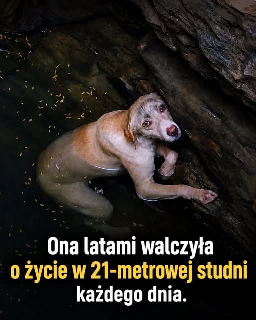 Spędziła długie godziny w wodzie na dnie 21-metrowej studni.